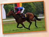 14.5. Hoppegarten