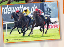 Foto: Horse & More by Beatrice Ehlert